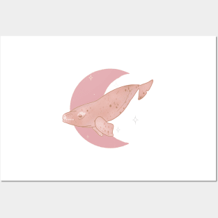 Right Whale Crescent - Rose Posters and Art